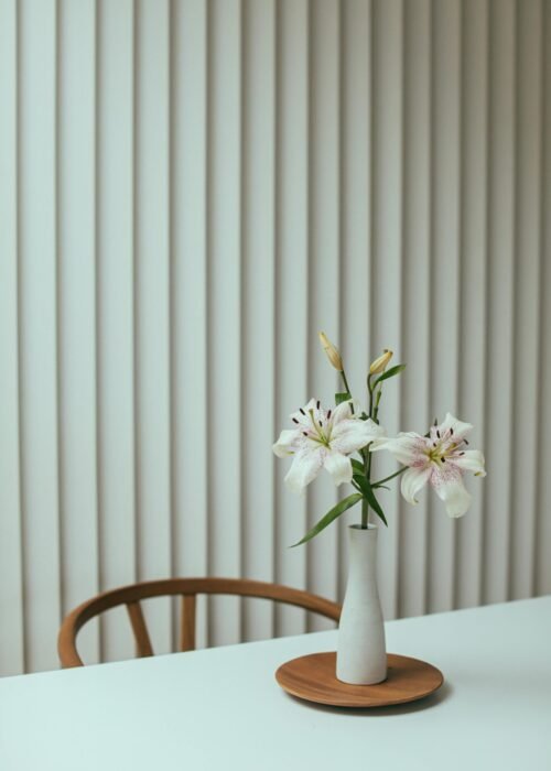 Vertical Blinds Cat image